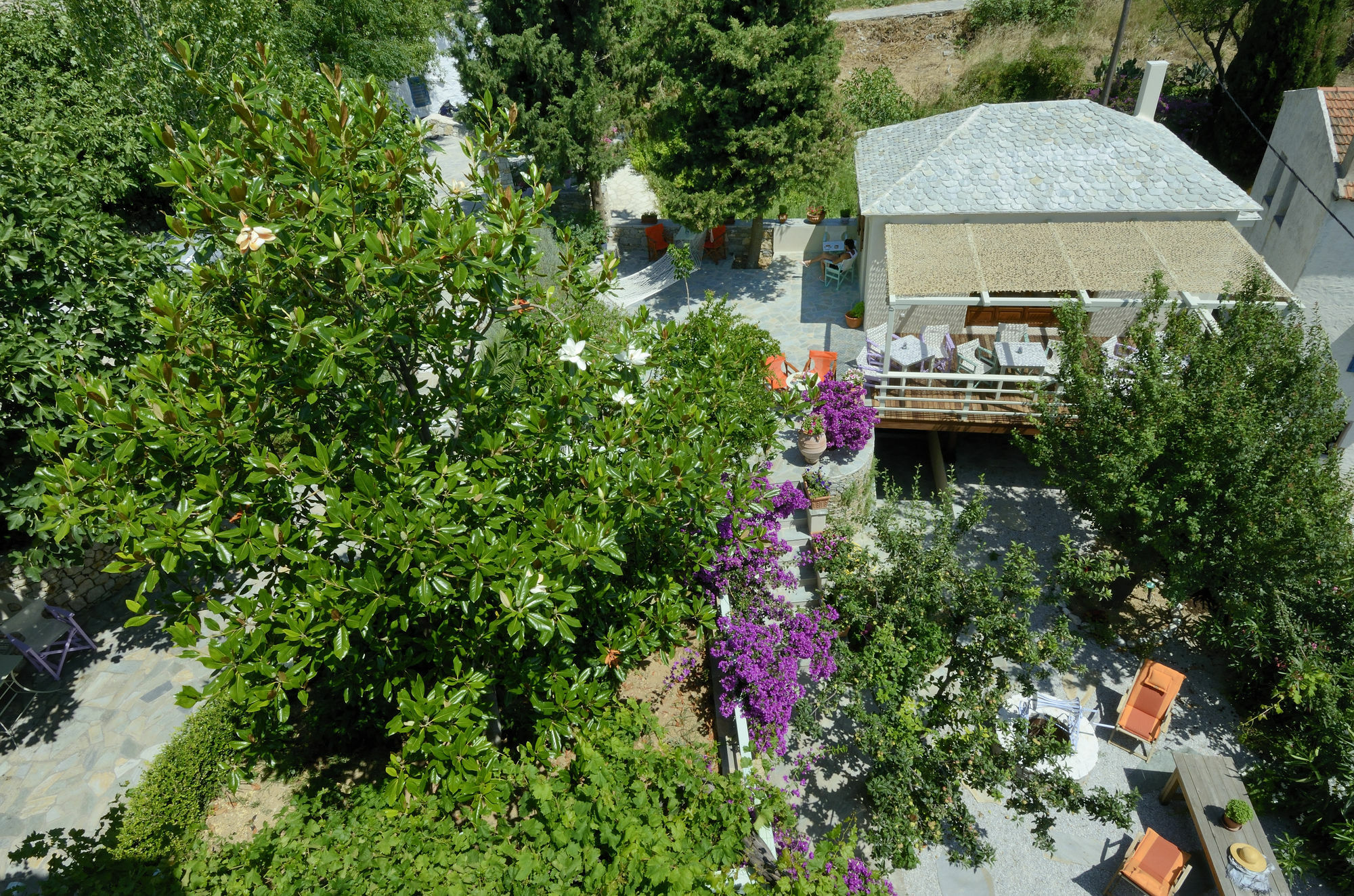 Konstantina Studios Alonnisos Town Bagian luar foto